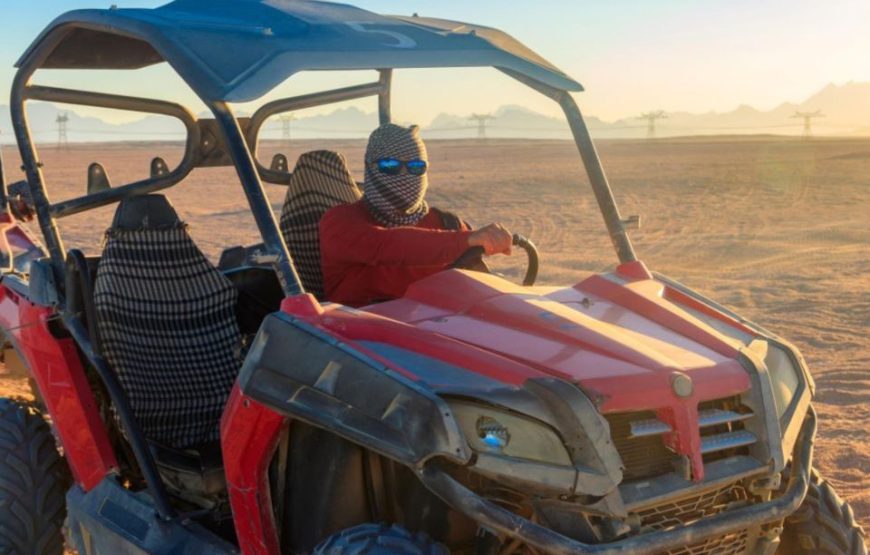 Dune Buggy Adventure