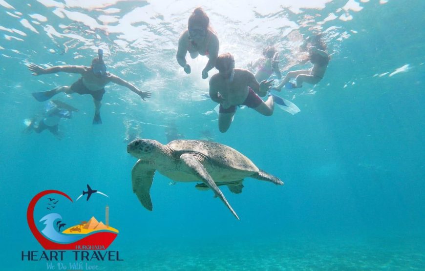 Turtle Bay (Abu Dabbab)