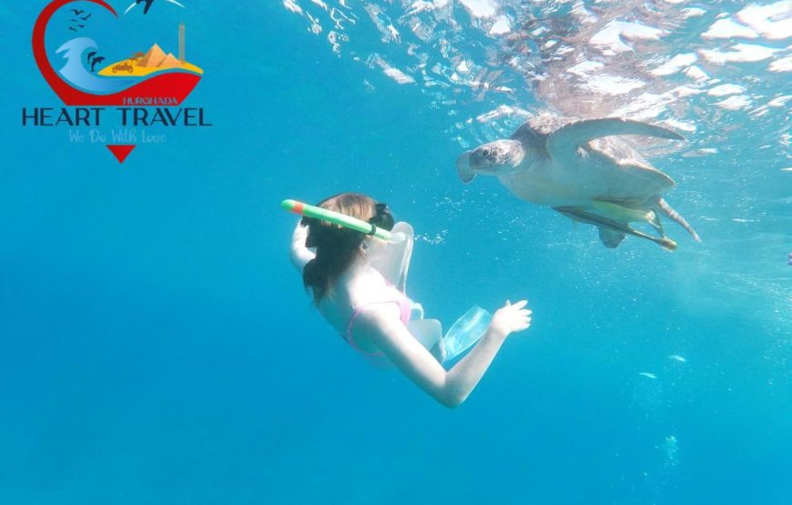 Turtle Bay (Abu Dabbab)