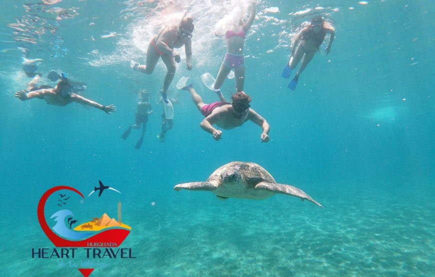 Turtle Bay (Abu Dabbab)