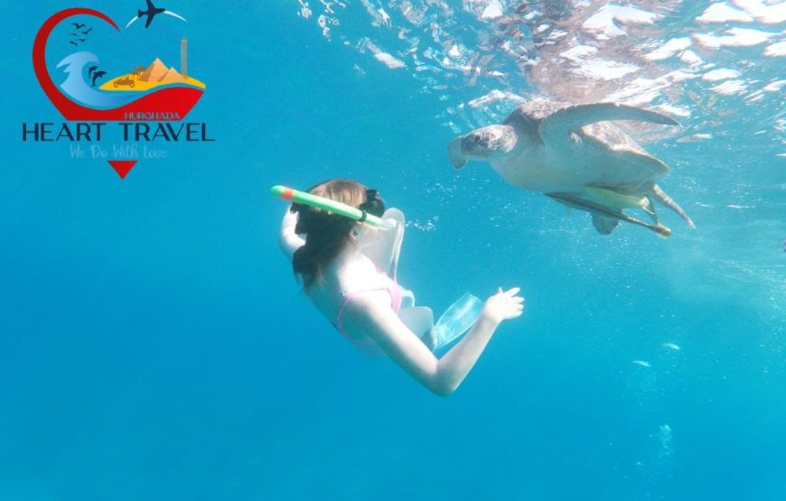 Turtle Bay (Abu Dabbab)